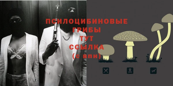прущий лед Ладушкин
