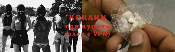 дмт Лагань