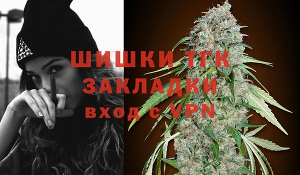 дмт Лагань