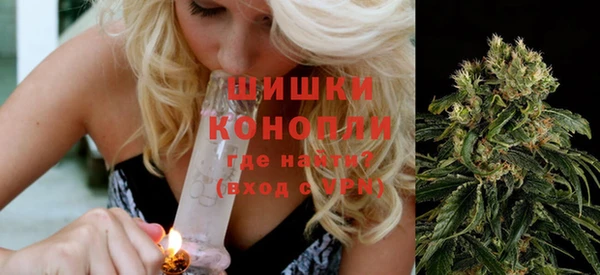 дмт Лагань
