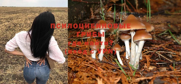 дмт Лагань