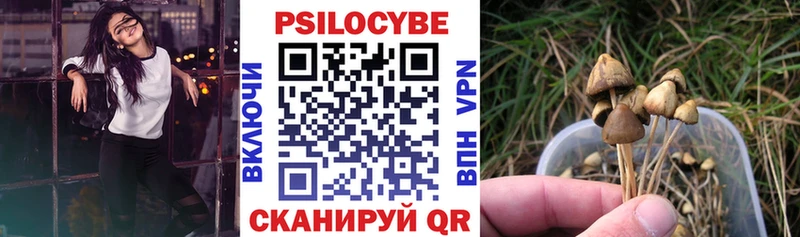 Псилоцибиновые грибы Psilocybe  Навашино 